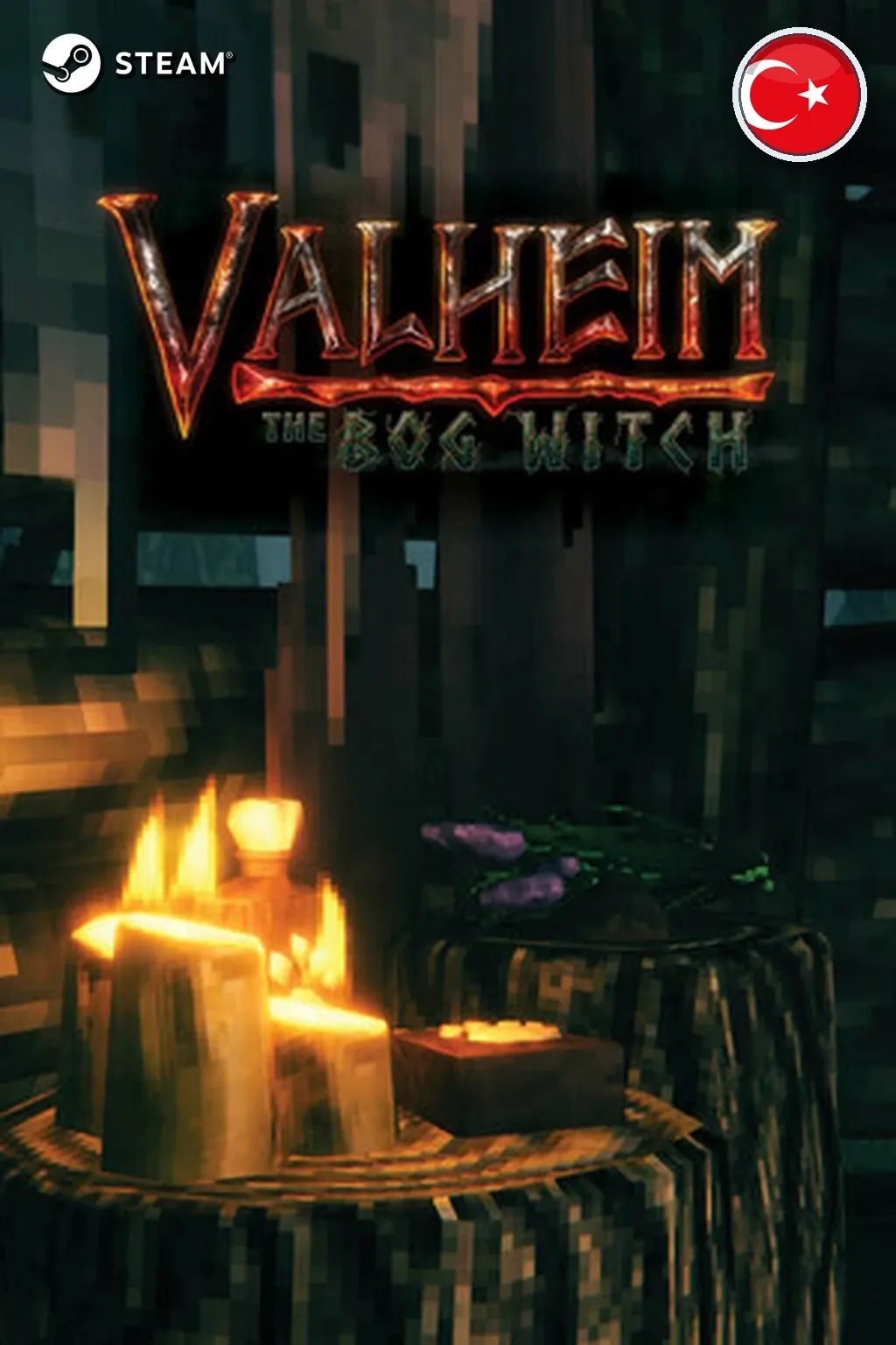 Valheim — Турция